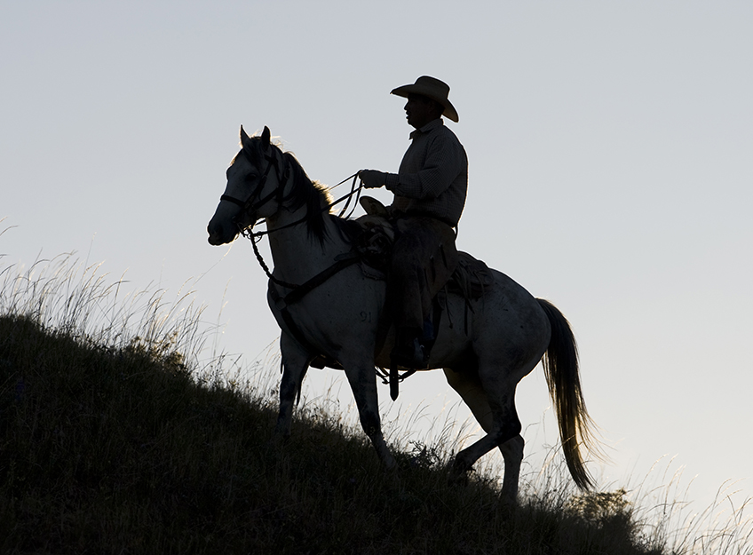 cattle ranching